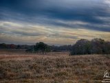 2017-11-16-007-DSC 8736-8747-HDR-Structurised1-2048-Sig  Beaulieu Heath Edit 5