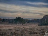 2017-11-16-008-DSC 8749-8764-HDR-Detailed1-2048-Sig  Beaulieu Heath Edit 6