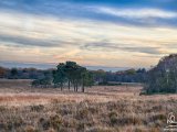 2017-11-16-009-DSC 8749-8764-HDR-Bright-Exposure-9-2048-Sig  Beaulieu Heath Edit 7