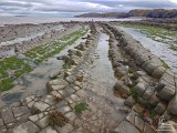 Kilve Beach, Somerset   2016-09-01-009-20160902 105621-PSDetEx-2048-Sig  Kilve Beach, Somerset