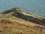 Hurlstone Point, Somerset   2016-09-01-026-DSC 8653-PSDetEx-2048-Sig  Hurlstone Point, Somerset