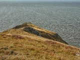 Hurlstone Point, Somerset   2016-09-01-027-DSC 8654-PSDetEx-2048-Sig  Hurlstone Point, Somerset